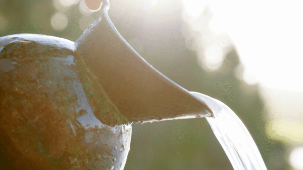Water pouring from a jug, sunlight background.